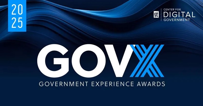 2024 Digital States Survey